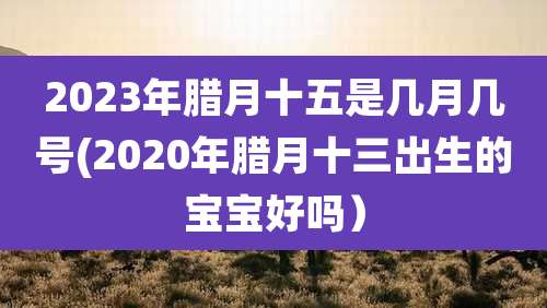 2023年腊月十五是几月几号(2020年腊月十三出生的宝宝好吗）