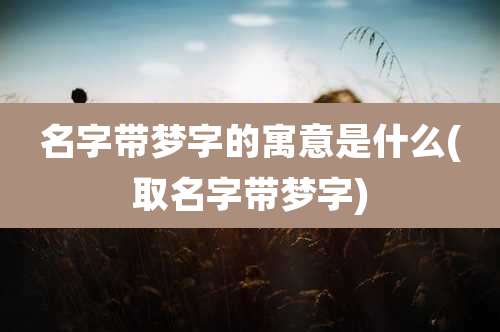 名字带梦字的寓意是什么(取名字带梦字)