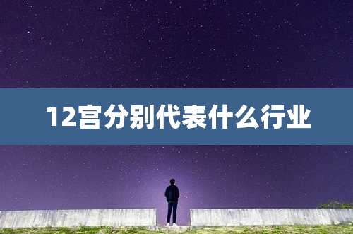 12宫分别代表什么行业