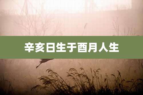 辛亥日生于酉月人生