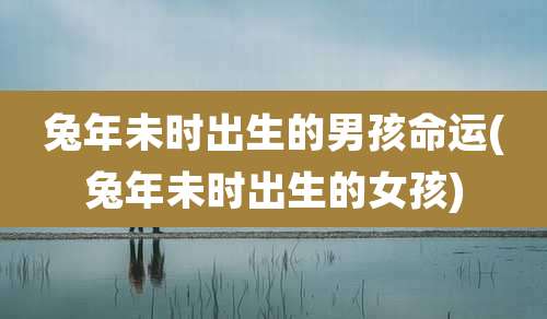 兔年未时出生的男孩命运(兔年未时出生的女孩)
