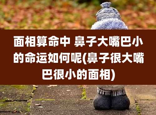面相算命中 鼻子大嘴巴小的命运如何呢(鼻子很大嘴巴很小的面相)