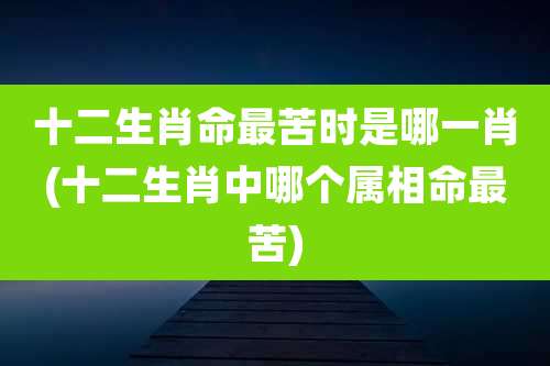 十二生肖命最苦时是哪一肖(十二生肖中哪个属相命最苦)