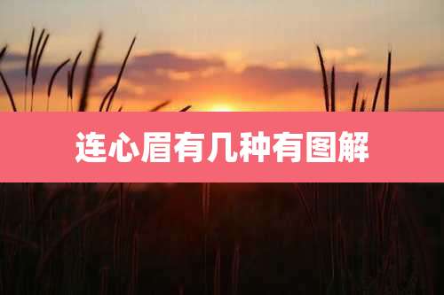 连心眉有几种有图解