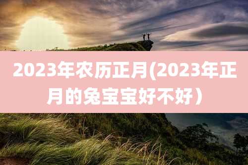 2023年农历正月(2023年正月的兔宝宝好不好)
