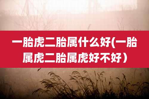 一胎虎二胎属什么好(一胎属虎二胎属虎好不好)