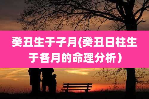 癸丑生于子月(癸丑日柱生于各月的命理分析）