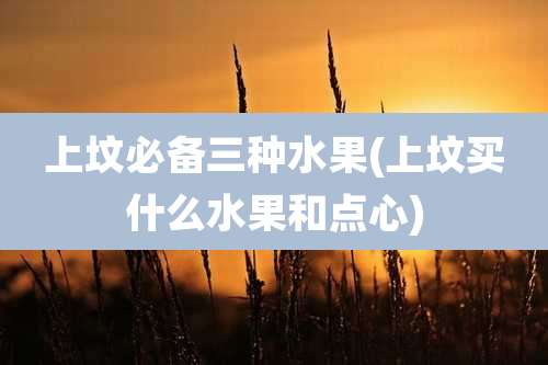 上坟必备三种水果(上坟买什么水果和点心)