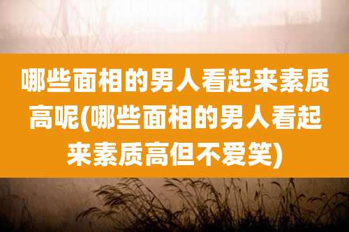 哪些面相的男人看起来素质高呢(哪些面相的男人看起来素质高但不爱笑)