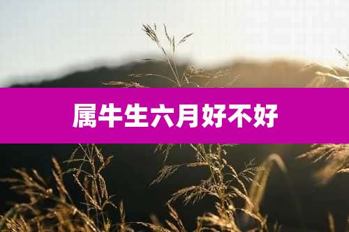 属牛生六月好不好
