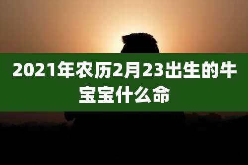 2021年农历2月23出生的牛宝宝什么命
