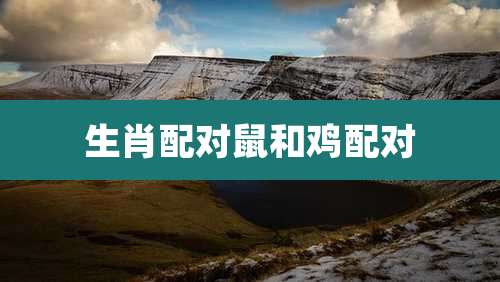 生肖配对鼠和鸡配对