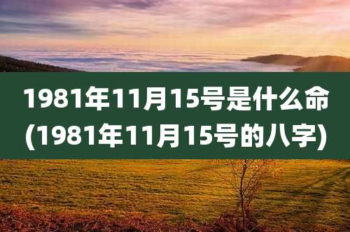 1981年11月15号是什么命(1981年11月15号的八字)