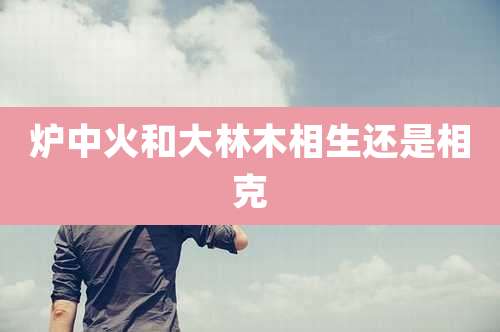 炉中火和大林木相生还是相克