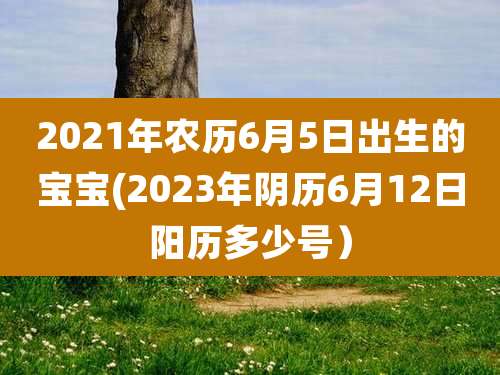 2021年农历6月5日出生的宝宝(2023年阴历6月12日阳历多少号）