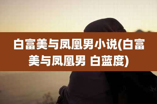 白富美与凤凰男小说(白富美与凤凰男 白蓝度)