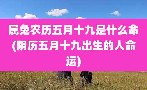 属兔农历五月十九是什么命(阴历五月十九出生的人命运)
