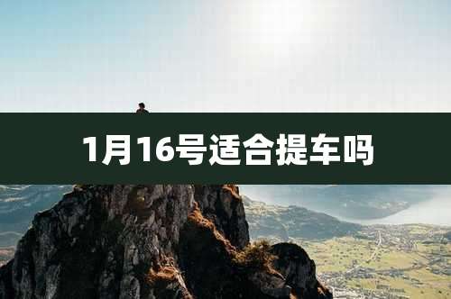 1月16号适合提车吗