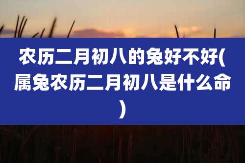 农历二月初八的兔好不好(属兔农历二月初八是什么命)