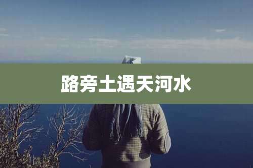 路旁土遇天河水
