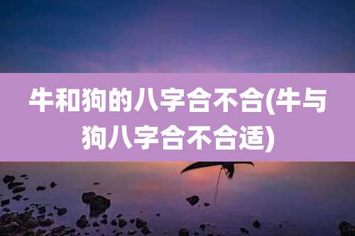 牛和狗的八字合不合(牛与狗八字合不合适)