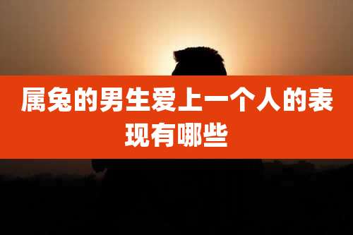 属兔的男生爱上一个人的表现有哪些