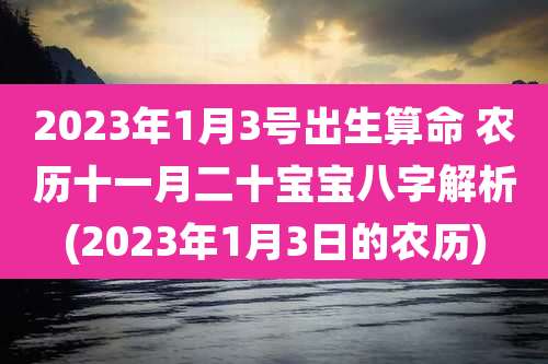 2023年1月3号出生算命 农历十一月二十宝宝八字解析(2023年1月3日的农历)