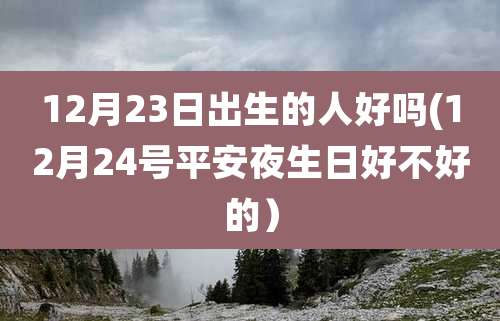 12月23日出生的人好吗(12月24号平安夜生日好不好的)