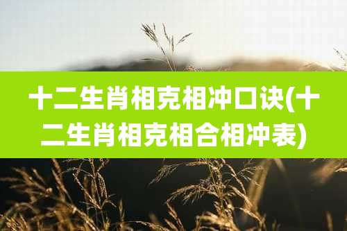 十二生肖相克相冲口诀(十二生肖相克相合相冲表)