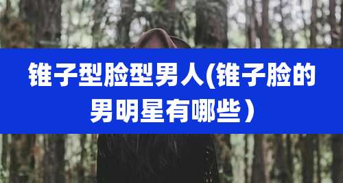 锥子型脸型男人(锥子脸的男明星有哪些)