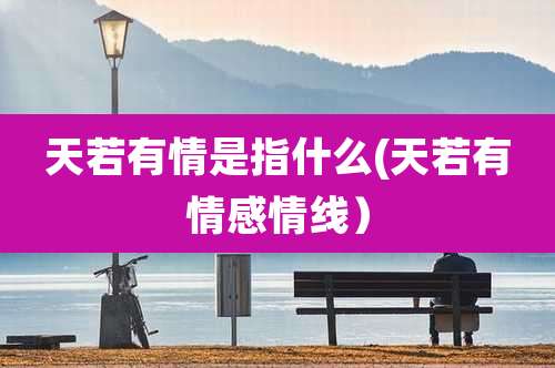 天若有情是指什么(天若有情感情线)