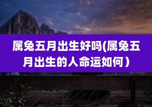 属兔五月出生好吗(属兔五月出生的人命运如何）