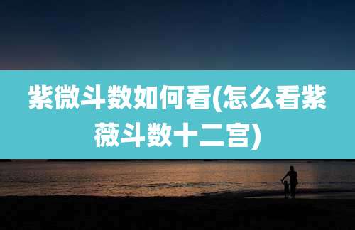 紫微斗数如何看(怎么看紫薇斗数十二宫)