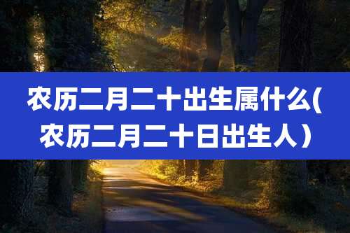 农历二月二十出生属什么(农历二月二十日出生人）