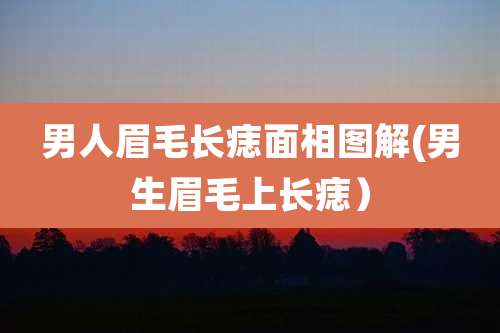 男人眉毛长痣面相图解(男生眉毛上长痣）