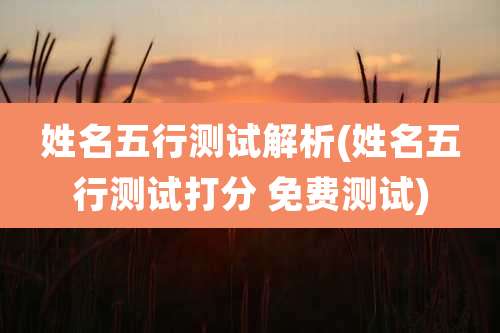 姓名五行测试解析(姓名五行测试打分 免费测试)