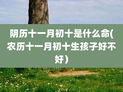 阴历十一月初十是什么命(农历十一月初十生孩子好不好)