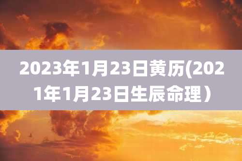 2023年1月23日黄历(2021年1月23日生辰命理）