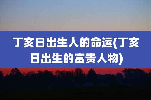 丁亥日出生人的命运(丁亥日出生的富贵人物)