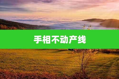 手相不动产线