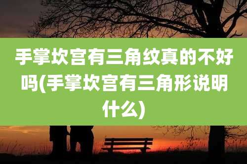 手掌坎宫有三角纹真的不好吗(手掌坎宫有三角形说明什么)