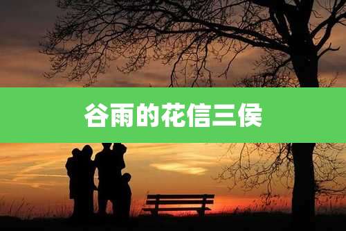 谷雨的花信三侯