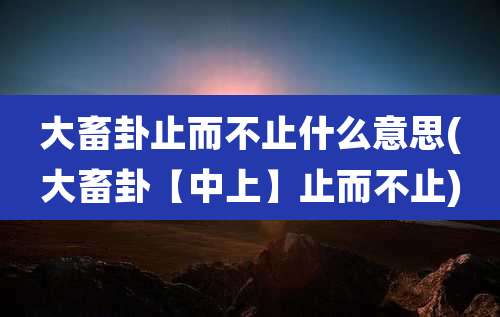 大畜卦止而不止什么意思(大畜卦【中上】止而不止)