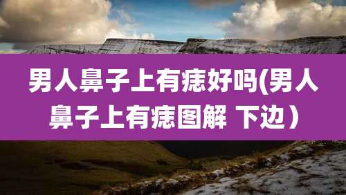 男人鼻子上有痣好吗(男人鼻子上有痣图解 下边)