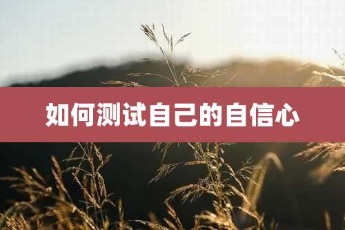 如何测试自己的自信心