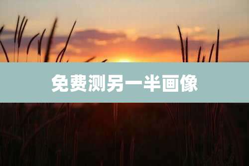 免费测另一半画像