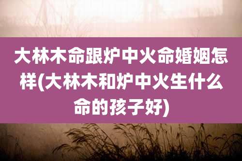 大林木命跟炉中火命婚姻怎样(大林木和炉中火生什么命的孩子好)