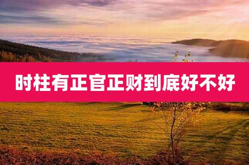 时柱有正官正财到底好不好