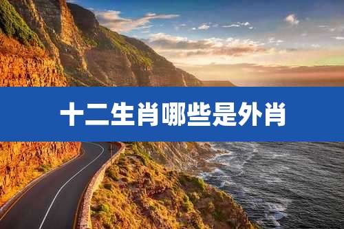 十二生肖哪些是外肖