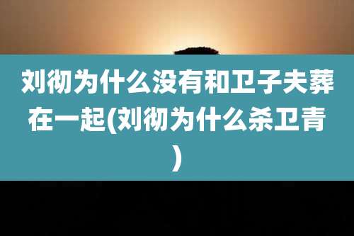 刘彻为什么没有和卫子夫葬在一起(刘彻为什么杀卫青)